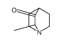 2-methyl-1-azabicyclo[2.2.2]octan-3-one Structure