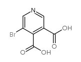 5-溴吡啶-3,4-二羧酸图片