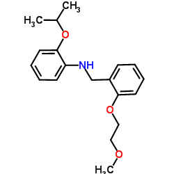 2-Isopropoxy-N-[2-(2-methoxyethoxy)benzyl]aniline Structure