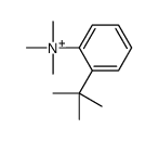 (2-tert-butylphenyl)-trimethylazanium Structure