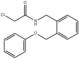 2-Chloro-N-{[2-(phenoxymethyl)phenyl]methyl}acetamide Structure