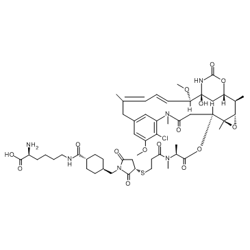 LYS-SMCC-DM1结构式