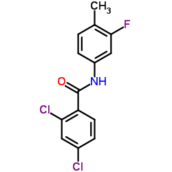 2,4-Dichloro-N-(3-fluoro-4-methylphenyl)benzamide Structure