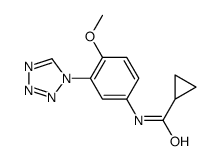 606096-19-9 structure