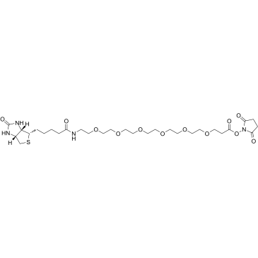 2055045-04-8 structure