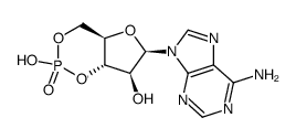 cyclic 9 beta-D-arabinosyladenine 3',5'-monophosphate structure