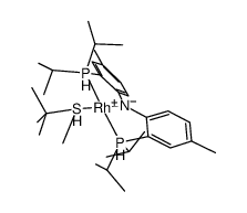 (N(C6H3(CH3)P(CH(CH3)2)2)2)Rh(S(t)BuMe)结构式