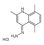 4-Hydrazino-2,5,8-trimethylquinoline hydrochloride结构式