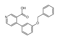 4-(3-phenylmethoxyphenyl)pyridine-3-carboxylic acid结构式