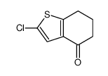 2-chloro-6,7-dihydro-5H-1-benzothiophen-4-one Structure