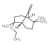 2,6,6-三甲基-9-亚甲基-2-乙氧基二环[3.3.1]壬烷图片