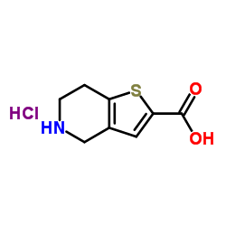 4,5,6,7-四氢噻吩并[3,2-c]吡啶-2-羧酸盐酸盐结构式