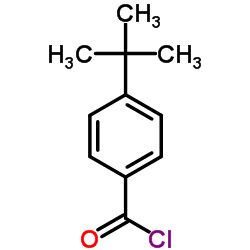 对叔丁基苯甲酰氯图片