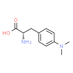 4'-dimethylaminophenylalanine picture