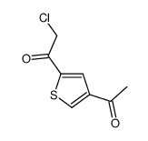 Ethanone, 1-(4-acetyl-2-thienyl)-2-chloro- (9CI) picture