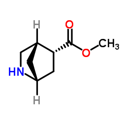 2-Azabicyclo[2.2.1]heptane-5-carboxylicacid,methylester,(1R,4S,5R)-rel- Structure