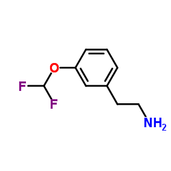 771581-13-6 structure