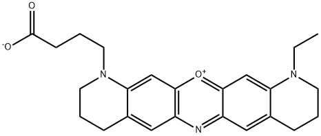 MR 121 Structure