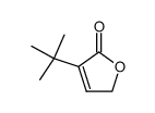 3-(tert-butyl)furan-2(5H)-one Structure