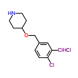 4-[(3,4-Dichlorobenzyl)oxy]piperidine hydrochloride (1:1)结构式