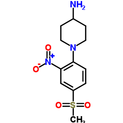 N-[4-(METHYLSULFONYL)-2-NITROPHENYL]PIPERIDIN-4-AMINE结构式