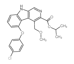 吉多卡尔图片