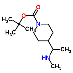 2-Methyl-2-propanyl 4-[1-(methylamino)ethyl]-1-piperidinecarboxylate picture