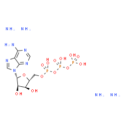 ADENOSINE-2,8-3H 5'-TRIPHOSPHATE TETRAAMMONIUM SALT picture