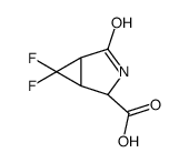 3-Azabicyclo[3.1.0]hexane-2-carboxylicacid,6,6-difluoro-4-oxo-,(1S,2R,5R)-(9CI) picture