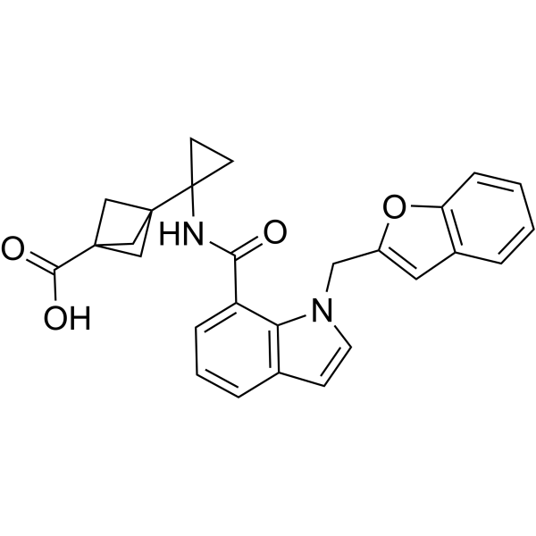 EP4-IN-1 Structure