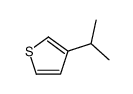 3-propan-2-ylthiophene结构式