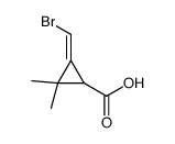 3-(bromomethylidene)-2,2-dimethylcyclopropane-1-carboxylic acid Structure