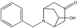 8-苄基-6-羟基-8-氮杂双环[3.2.1]辛-3-酮图片