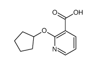 2-cyclopentyloxypyridine-3-carboxylic acid picture