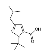 3-Isobutyl-1-(2-methyl-2-propanyl)-1H-pyrazole-5-carboxylic acid结构式