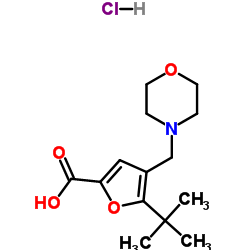 5-(2-Methyl-2-propanyl)-4-(4-morpholinylmethyl)-2-furoic acid hydrochloride (1:1)结构式