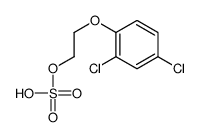 SESONE (TM) Structure