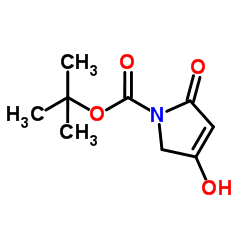 2,5-二氢-4-羟基-2-氧代-1H-吡咯-1-甲酸叔丁酯图片