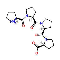 H-Pro-Pro-Pro-Pro-OH Structure