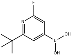 2-Fluoro-6-(tert-butyl)pyridine-4-boronic acid structure