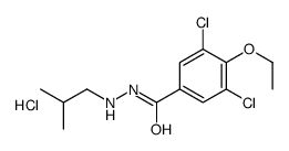 3,5-dichloro-4-ethoxy-N'-(2-methylpropyl)benzohydrazide,hydrochloride结构式