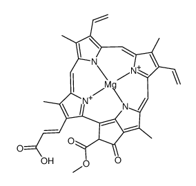 叶绿素 C2结构式