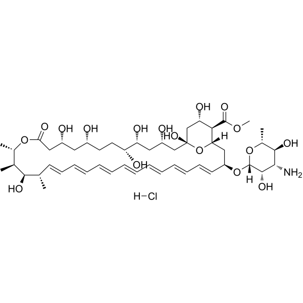 Amphotericin B methyl ester hydrochloride结构式