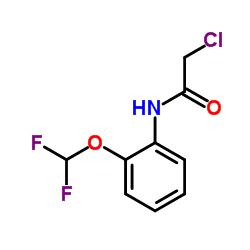 2-CHLORO-N-(2-DIFLUOROMETHOXY-PHENYL)-ACETAMIDE结构式