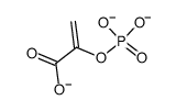 phosphoenolpyruvate trianion Structure