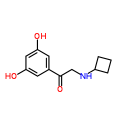 Ethanone, 2-(cyclobutylamino)-1-(3,5-dihydroxyphenyl)- (9CI) picture