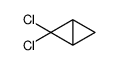 2,2-dichlorobicyclo[1.1.0]butane Structure