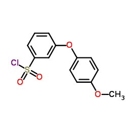 [3-(4-METHOXYPHENOXY)PHENYL]SULFONYL CHLORIDE structure