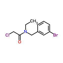 N-(3-Bromobenzyl)-2-chloro-N-ethylacetamide结构式