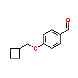 164521-00-0 structure